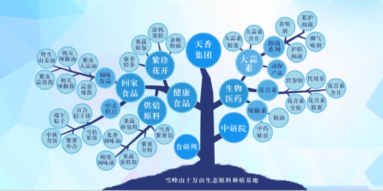 市委常委、組織部部長、統(tǒng)戰(zhàn)部部長龔紅果蒞臨天香生物調(diào)研